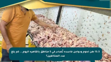 13.5 طن لحوم ودواجن فاسدة تُصادر في 5 مناطق بالقاهرة اليوم… كم بلغ عدد المخالفين؟